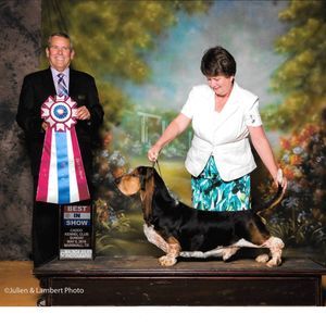 Meet your Posher, Sharon